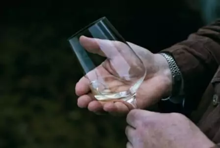 A hand holding a Zalto - Bordeaux Wine Glass.