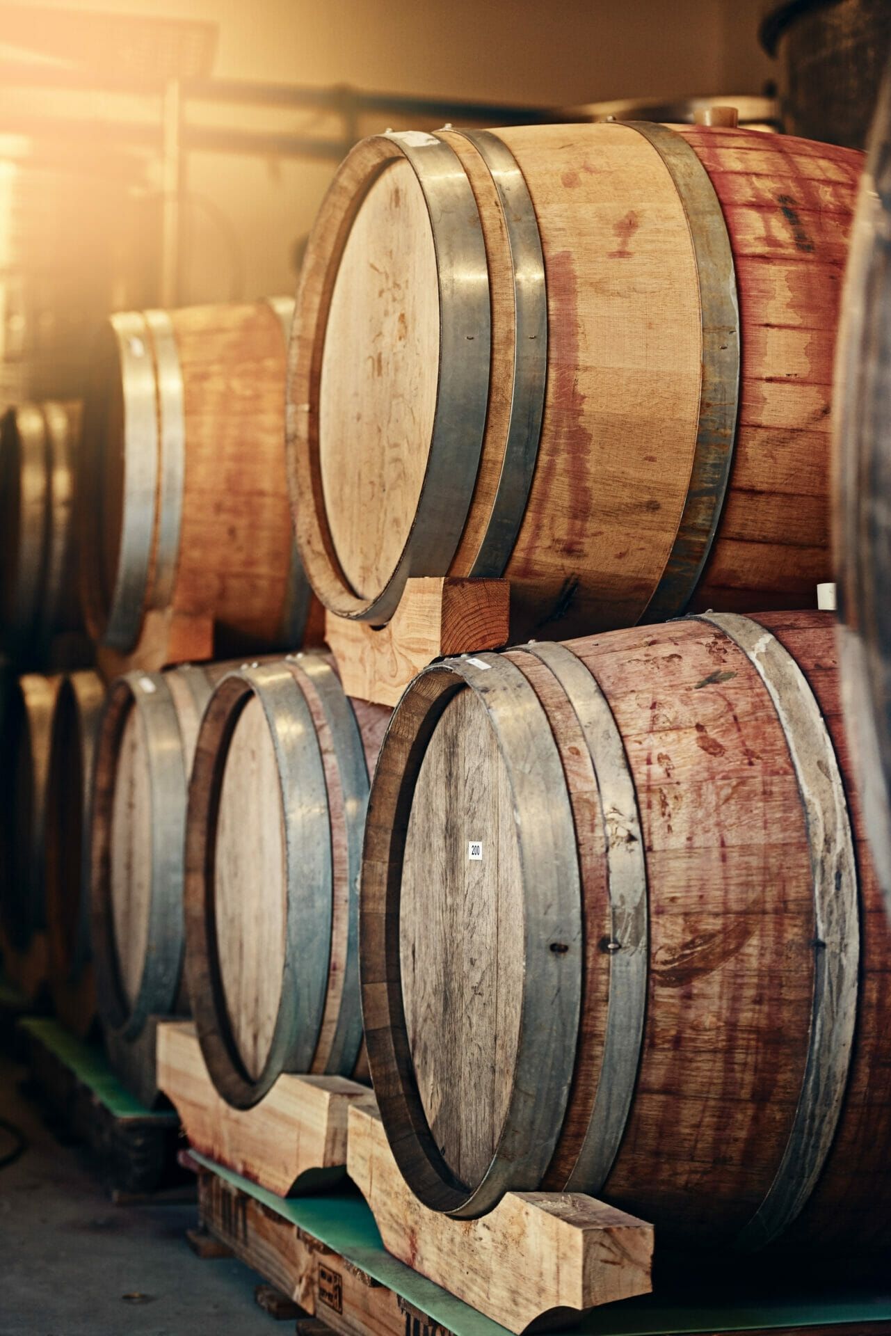 wooden barrels, wine cellar