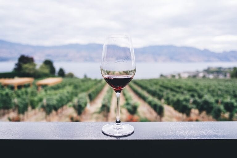The Basics of Wine Tasting: A Beginner’s Guide