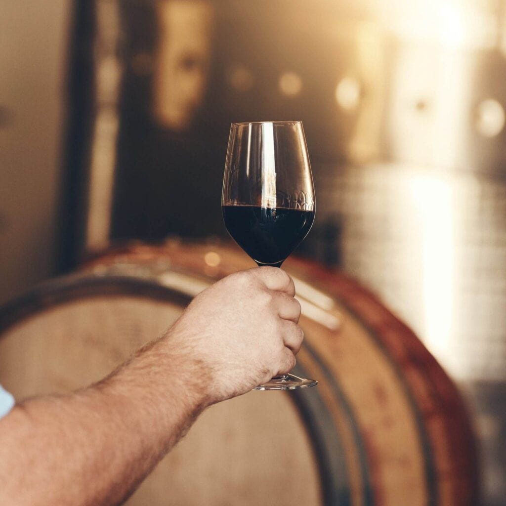 A person holding a glass of red wine in front of a well-organized wine rack, creating an elegant atmosphere.