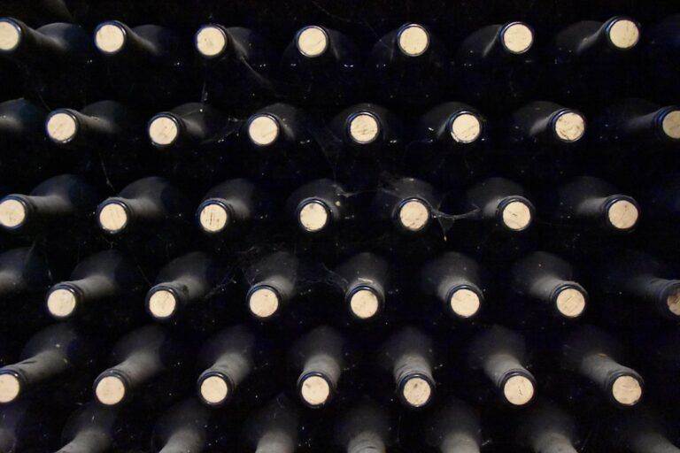 A close-up view of rows of wine bottles stored horizontally in a dark cellar, with corks facing outward.
