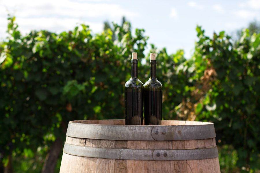 Two wine bottles on a wooden barrel in a vineyard, with lush green grapevines in the background under a clear sky.