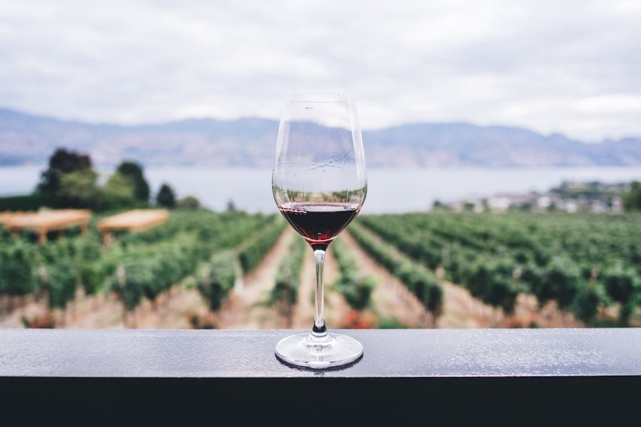 A glass of red wine on a railing overlooks a vineyard with a lake and mountains in the background.