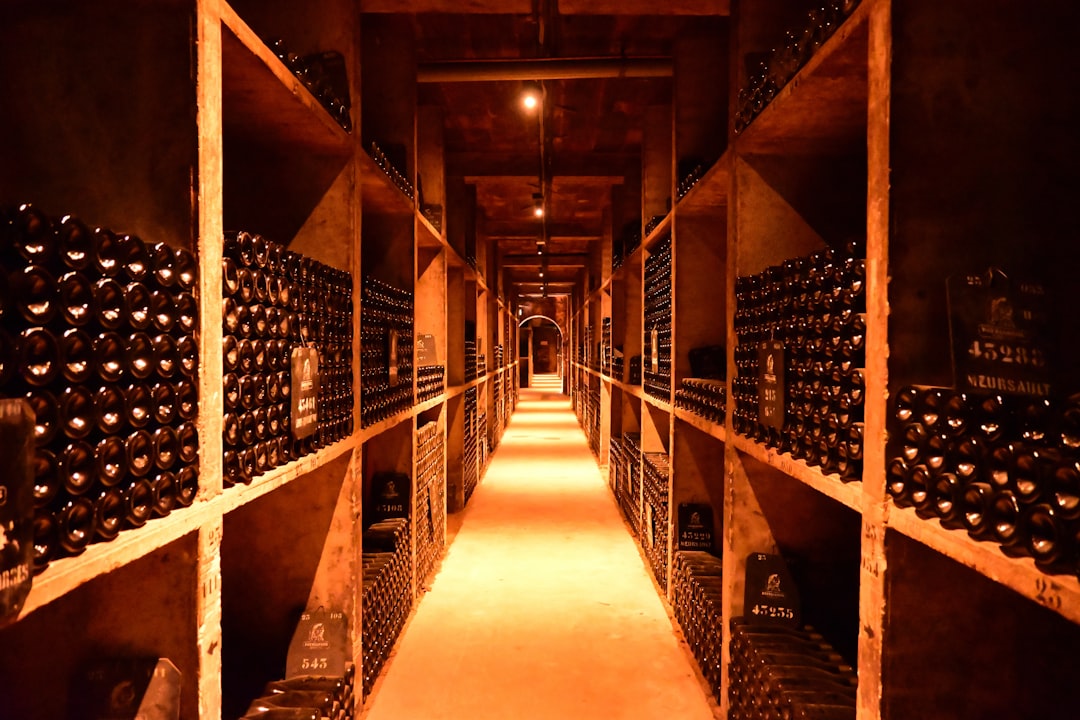 Photo Wine cellar