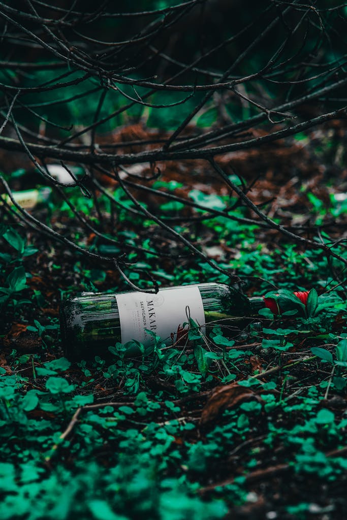 A discarded wine bottle lying on green forest floor surrounded by branches.