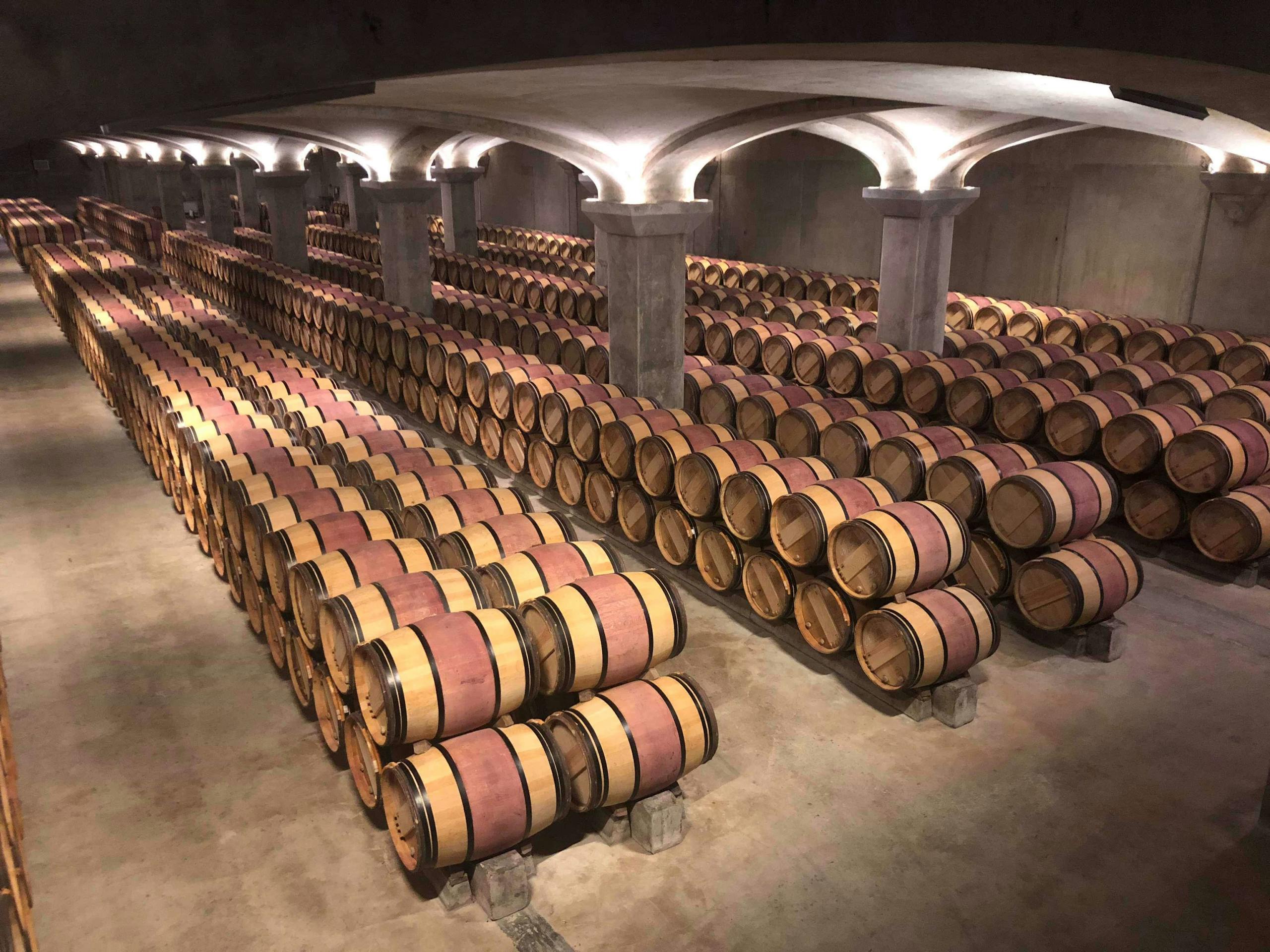 Rows of wooden wine barrels aging in a Margaux winery cellar in France.